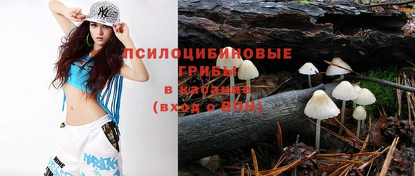 прущая мука Кулебаки