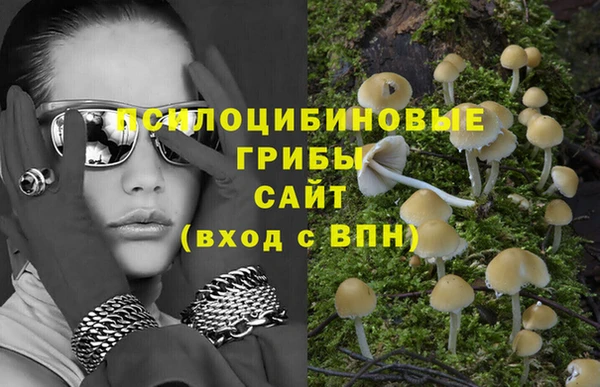 ГАЛЛЮЦИНОГЕННЫЕ ГРИБЫ Костерёво