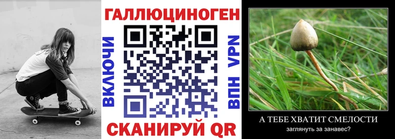 Галлюциногенные грибы мицелий  Купить  Кострома 